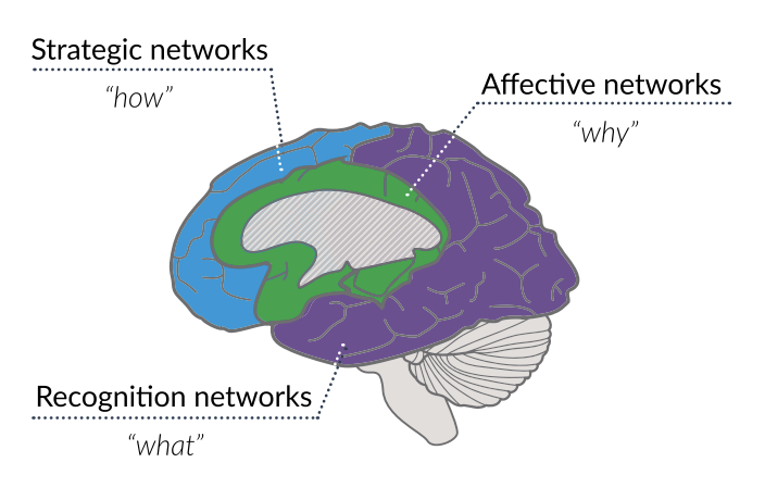 CAST Universal Design for Learning core pillars brain diagram
